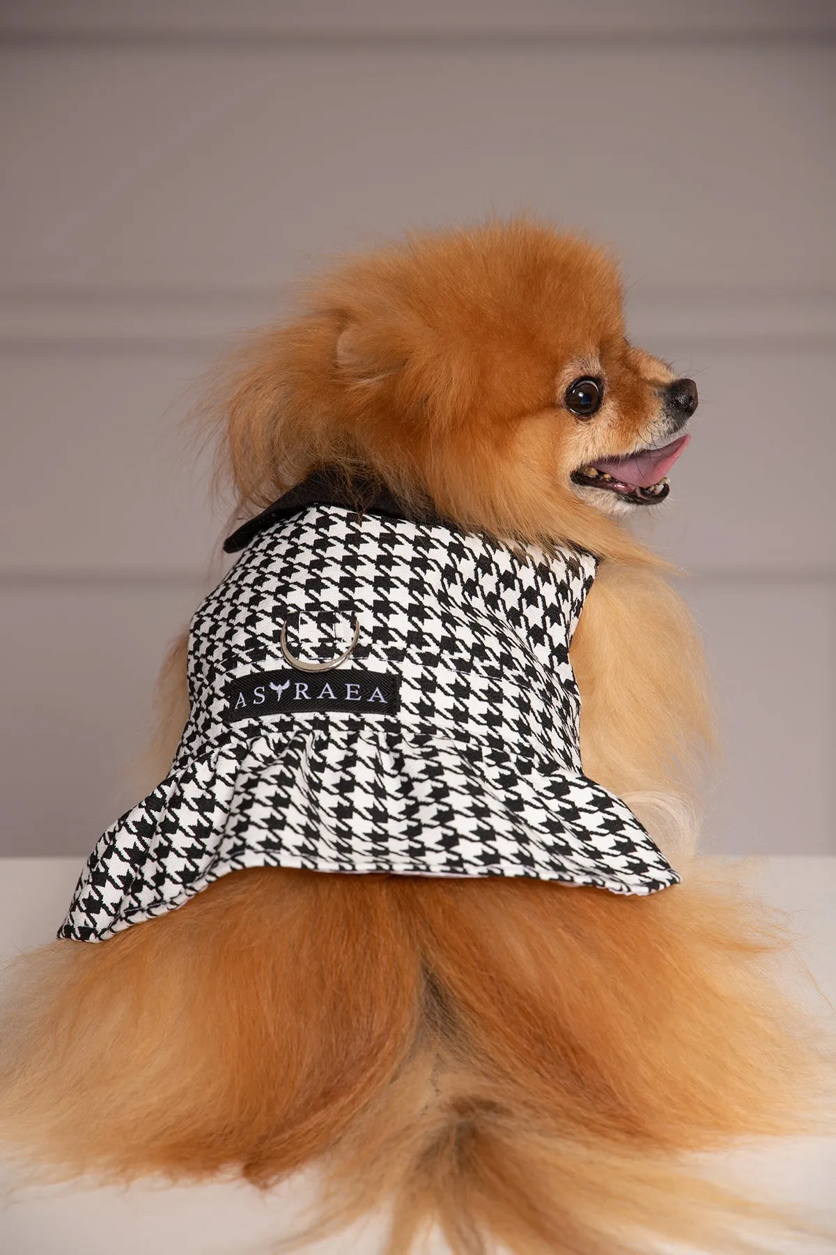 HOUNDSTOOTH DOG DRESS