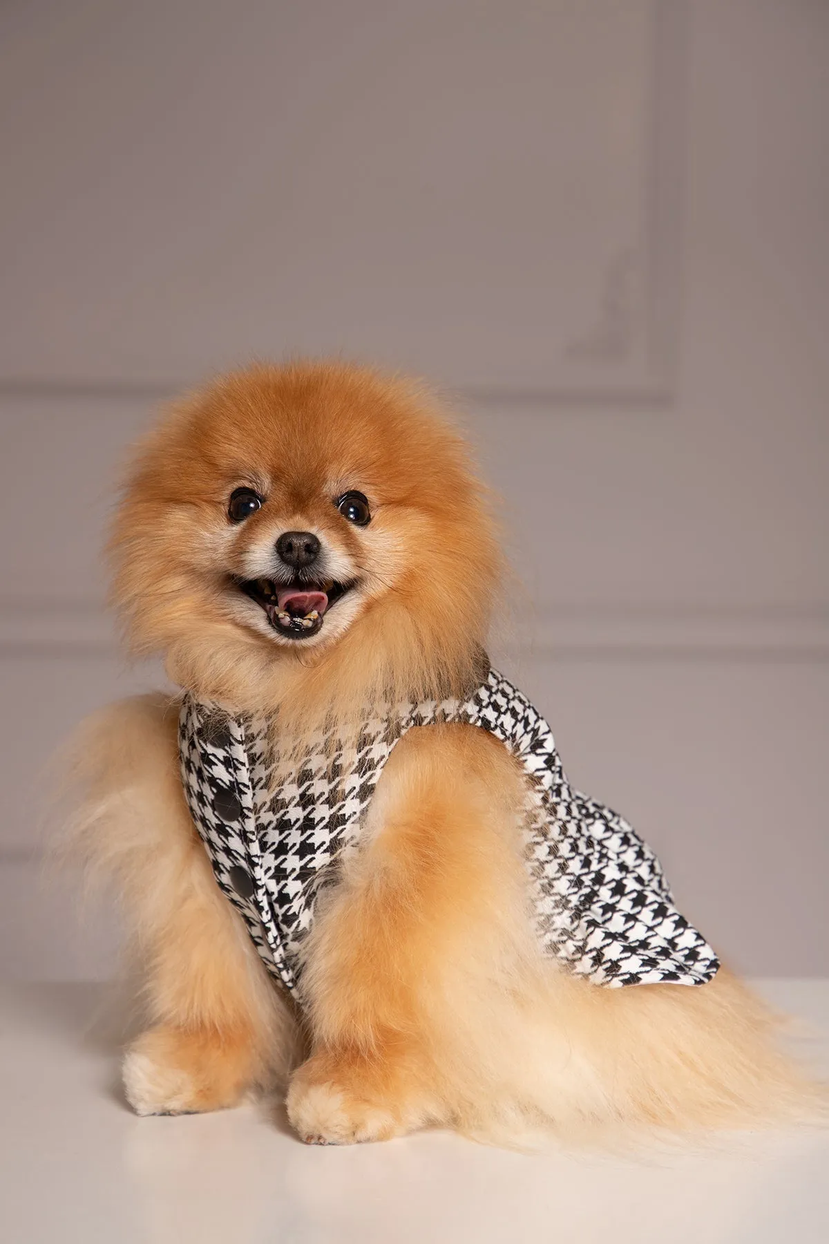 HOUNDSTOOTH DOG DRESS