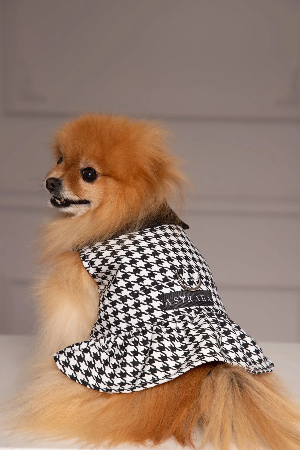 HOUNDSTOOTH DOG DRESS