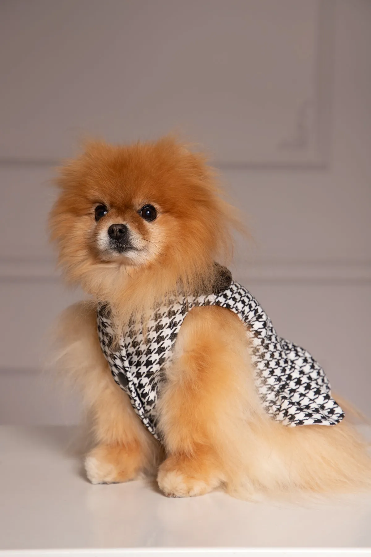 HOUNDSTOOTH DOG DRESS