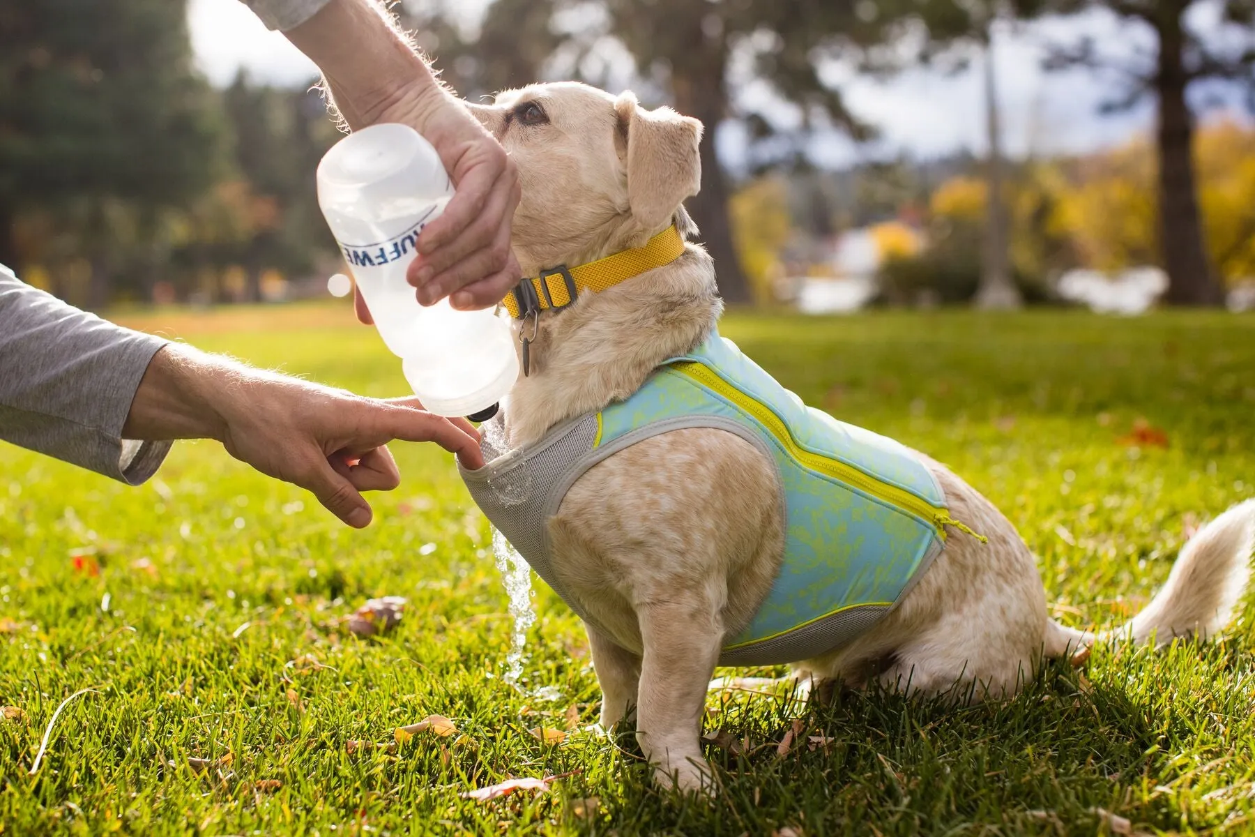 Swamp Cooler Zip Dog Cooling Vest