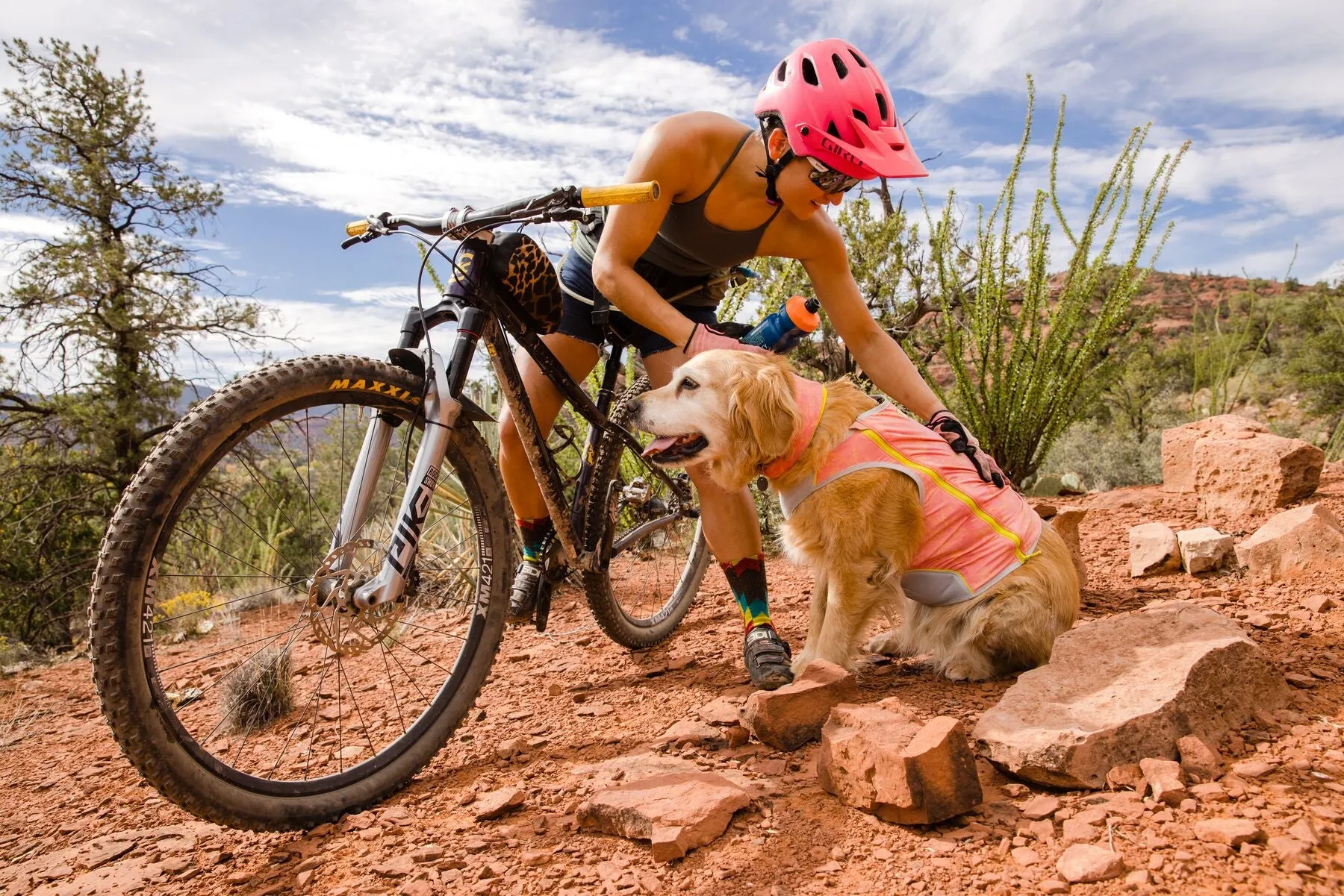 Swamp Cooler Zip Dog Cooling Vest