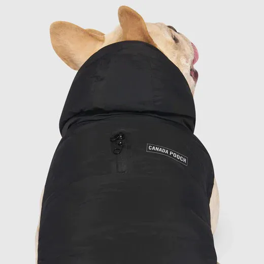 Waterproof Dog Puffer Jacket