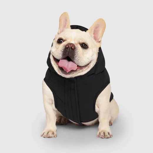 Waterproof Dog Puffer Jacket